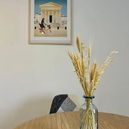 Appartamento T2 Cosy En Centre Ville De Nîmes
